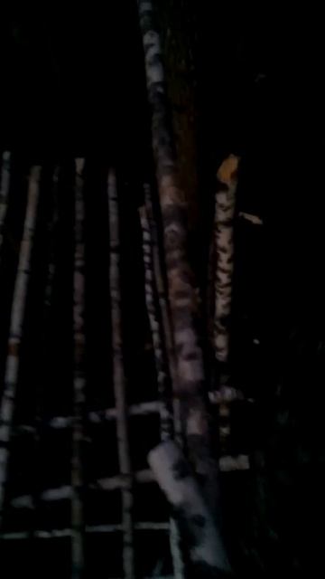 Дом на дереве жизнь в лесу 9 сломали топор( смотреть онлайн