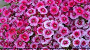 ❤ ♥ ❤ Энергия, от которой закипает кровь - Dramatic Sad -- Lowtone Music -- Dramatic Sad + Chorus Ve