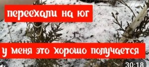Переехали на юг)У меня это хорошо получается и я буду этим заниматься