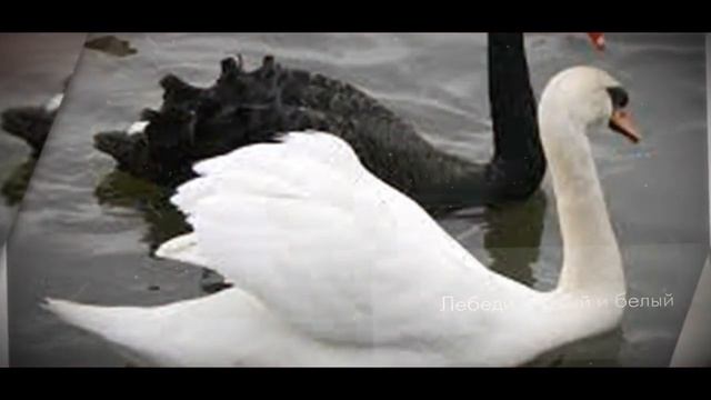 Бесконечность 29 04 2020 смотреть онлайн