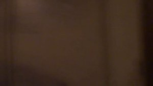 Электрический лифт (г. Ногинск), V=1 м-с, г-п 400 кг (7)