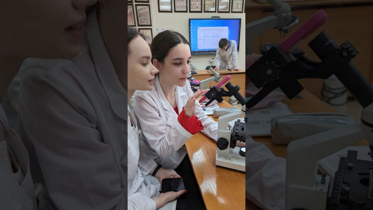 Больше об учебе в моем тгк medicinesty #медицина #студент #доктор #медик #medicalstudent