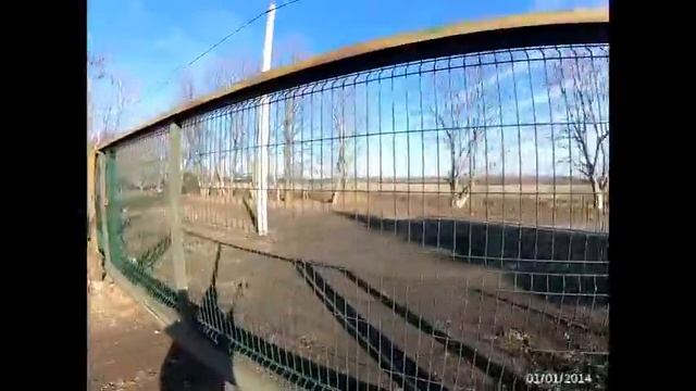 Сказочка про Дятлов смотреть онлайн