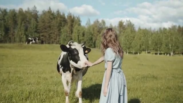 Смоковница