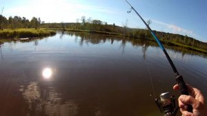 Ловля щук и судаков на джиг с лодки после запрета в Нязепетровском водохранилище и на Химмаше