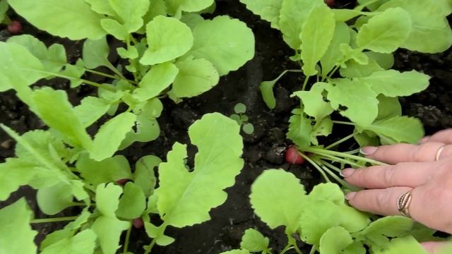 Папу  встретили..Дочу проводили 