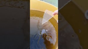 Ночной мороз -4С⁰. Всё замёрзло.