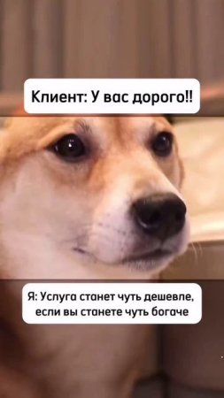 scene_output.mp4