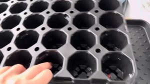 Заболела,НО НАДО СРОЧНО В МАГАЗИНВЕЧЕРОМ на КУХНЕ ЧЕБУРЕЧИМ