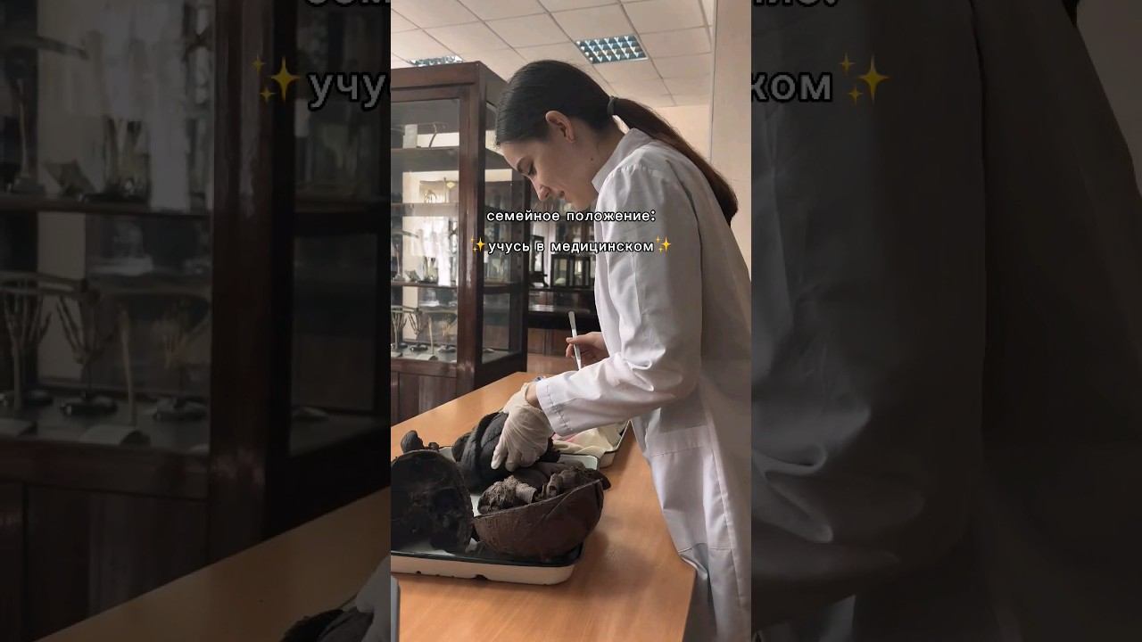 больше об учебе в тгк: medicinesty #медицина #студент #медик #medicalstudent