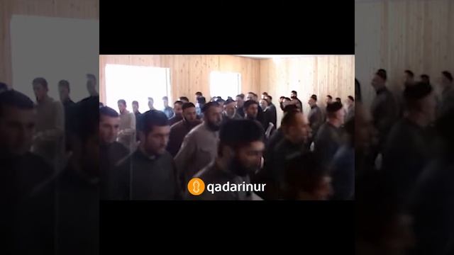 • Халид Шалинский — Похороны Зайн-Абида Марзиева, 2011 год. 1-часть. смотреть онлайн