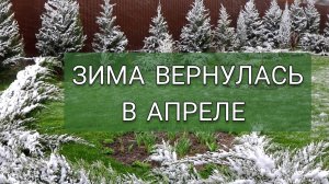 ЗИМА ВЕРНУЛАСЬ В АПРЕЛЕ. 6.04.2025г.