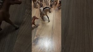 Лошади шляйх играют в правда или действие.