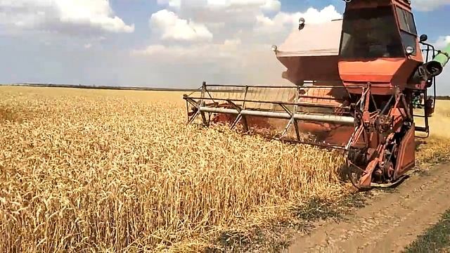 Уборка 2019, обкос краев. смотреть онлайн