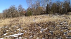 Участок 47 соток деревня Косохново Пушкинские горы