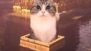 семечки купите