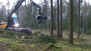 машина для рубки леса