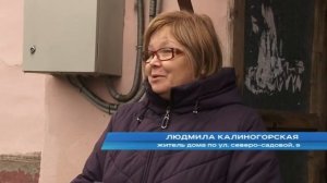 Комариный ад на Северо-Садовой