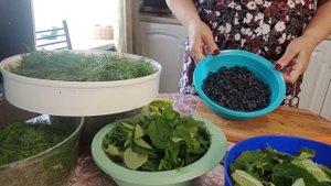 Начинаем заготовки на зиму