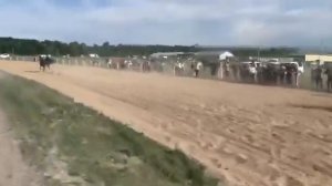 Бега рысаков и иноходцев.