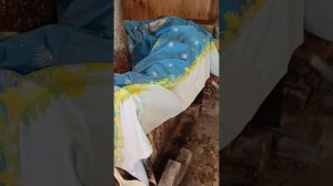 Короткий ролик. Покрасила печь в бане. Хлеб в хлебопечке Горения.