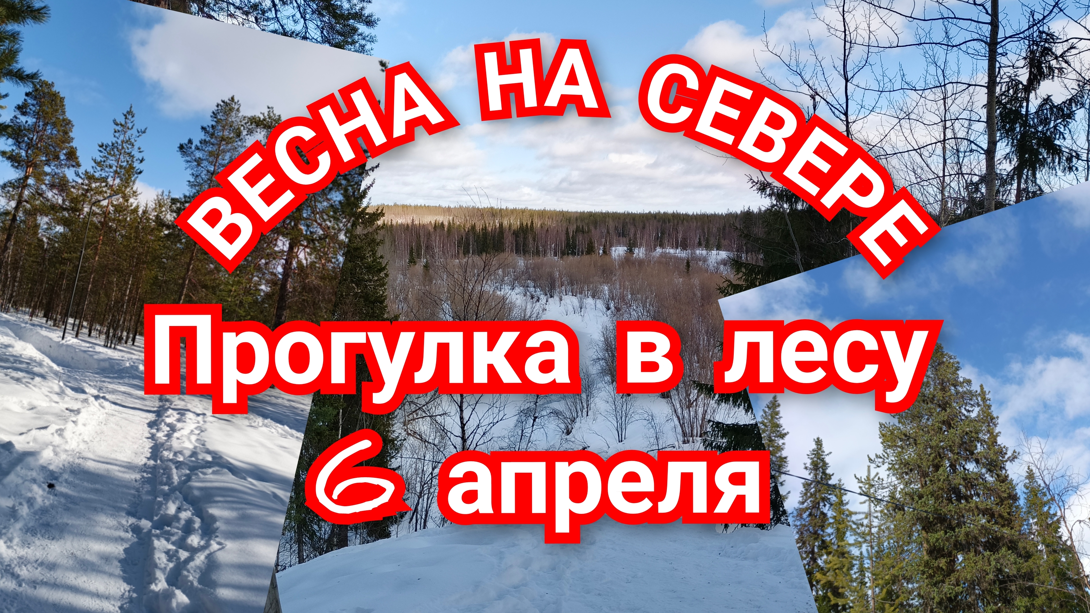 ВЕСНА, ПРОГУЛКА В ЛЕСУ 6 апреля 2025