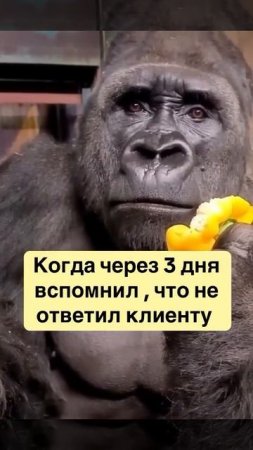 КЛИЕНТ ЭТО НАШЕ