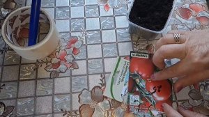 Архив. Продолжаем прогулку по деревне! Сходила к маме и сестре . Занимаюсь цветами. Первый мороз