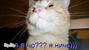 моё первый ролик...