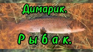 Рыбалка!🎣
Неплохие моменты пойманной рыбки!🐟🐟🐟🤗