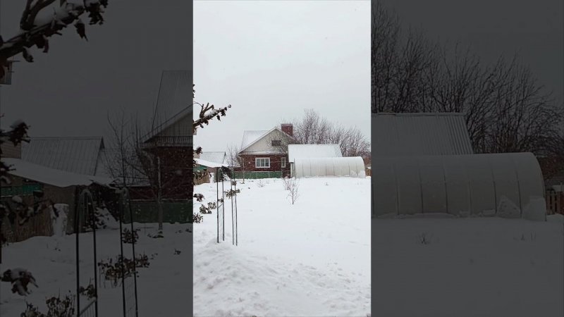 Снежок)