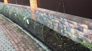 Розы. Ставим укрытия для роз.