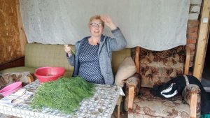 Разберемся что происходит.
