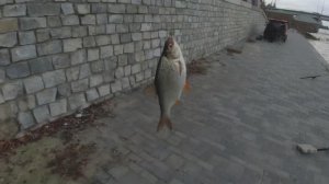 Днепропетровск , Рыбалка на Набережной 2025