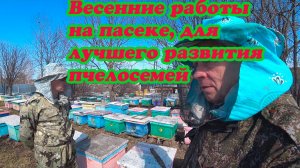 ВЕСЕННИЕ РАБОТЫ НА ПАСЕКЕ, ПОЛУЧИЛИ ПОСЫЛКУ И ИНФОРМАЦИЯ ПО МАТКАМ.