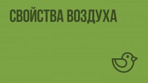 Свойства воздуха. Видеоурок по окружающему миру 3 класс