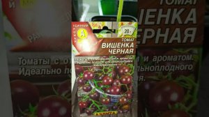 Обзор сортов томата 2024.