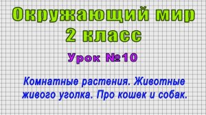 Окружающий мир 2 класс (Урок№10 - Комнатные растения. Животные живого уголка. Про кошек и собак.)