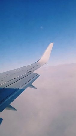 Досмотри до конца.
"Я ДО ПОЛЕТА В МОСКВУ"