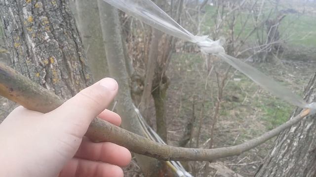 "ОБЗОР ХАТКИ НА ДЕРЕВІ"(^_^) смотреть онлайн