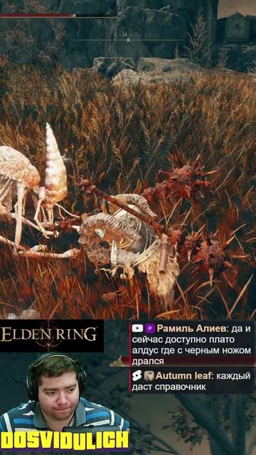 Собиратель ★ Elden Ring #eldenring #shadowoftheerdtree