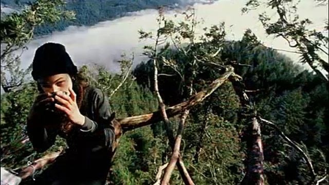 ANEH TAPI NYATA !! Wanita Cantik ini Tinggal di Pohon Setinggi 60 Meter !! -[onthespotnews] смотреть онлайн