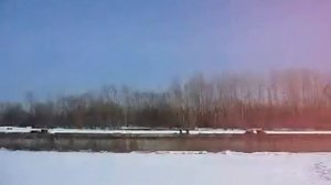 Наши Соседи,Кудряши!!!