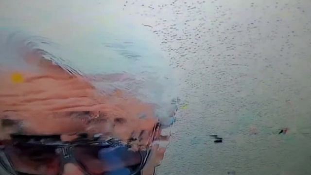 Canelo Alvarez mostro su casa y fortuna, Enrique Guzman demanda,Marco Antonio Solis en museo en LA смотреть онлайн