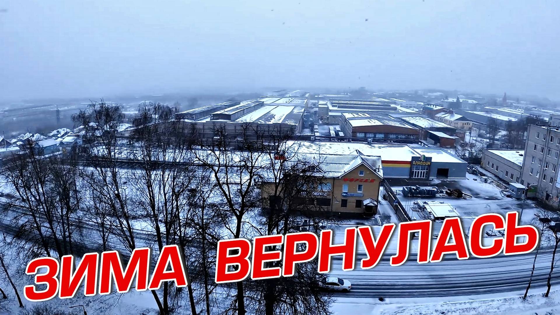 ЗИМА  ВЕРНУЛАСЬ