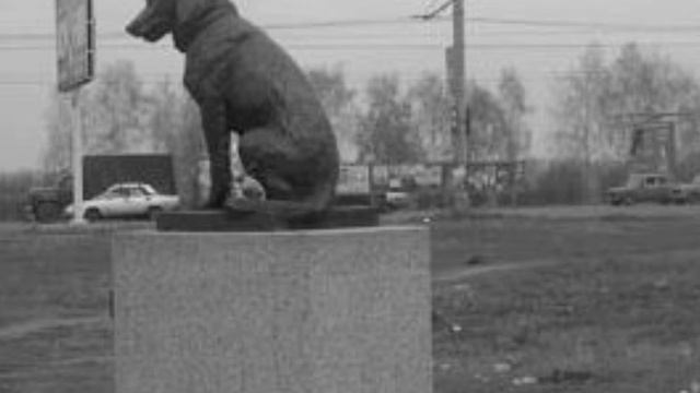 На кольцевой смотреть онлайн