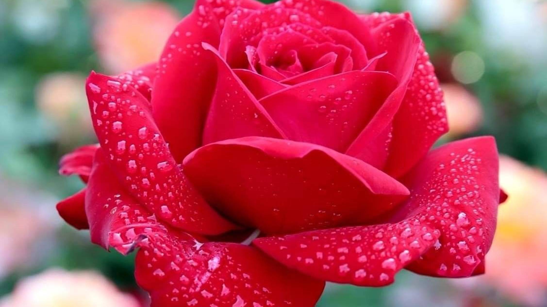Ещё раз оо любви, ♥️,стихи от друзей