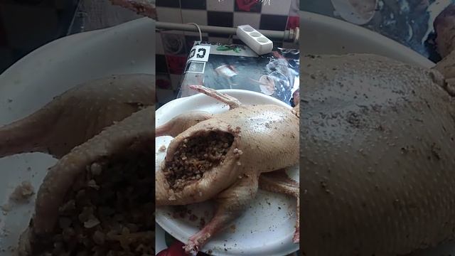 Отправить! смотреть онлайн