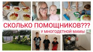 Помощники по дому, уборка, мотивация на уборку,  уход за садом Дзен