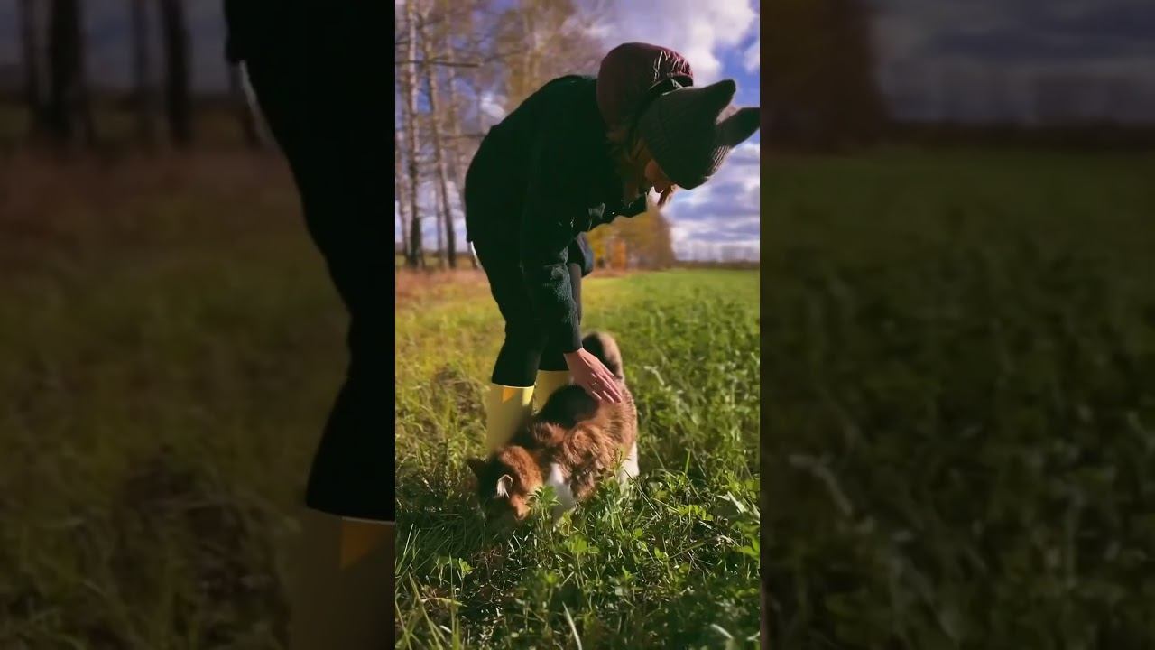 Кошачья жизнь вне дома.